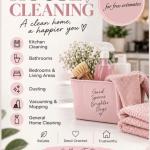 Standard  cleaning
