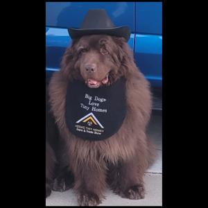 Large Dog Bibs