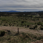 Residential: 2.39acres Land AZ